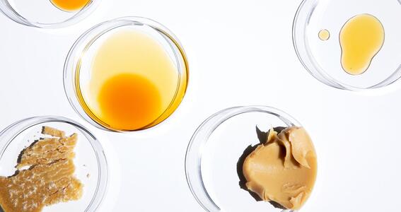 neste_tehnoloogia_taastuvtoorainest_kytuste_tootmisel neste_tehnoloogia_taastuvtoorainest_kytuste_tootmisel