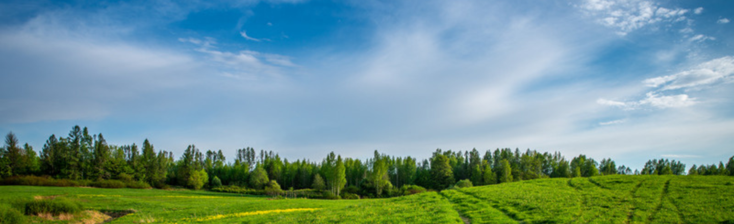 Kaunis Eestimaa loodus, keskkonnasõbralik kütus aitab seda hoida.